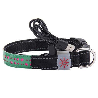 Glowing Paws Led Pet Collar