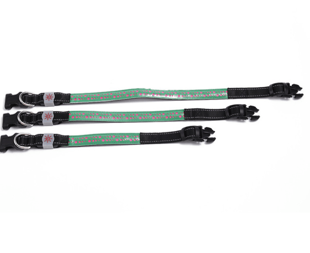 Glowing Paws Led Pet Collar
