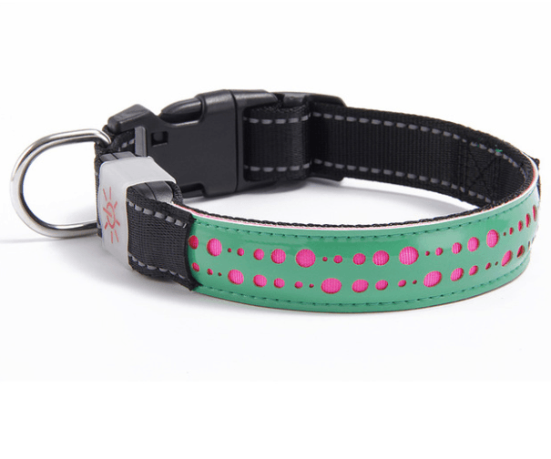 Glowing Paws Led Pet Collar